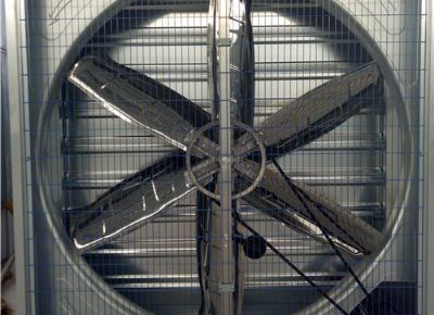 點擊查看詳細(xì)信息<br>標(biāo)題：Heavy Hammer Type Animal Husbandry Fan 閱讀次數(shù)：1560