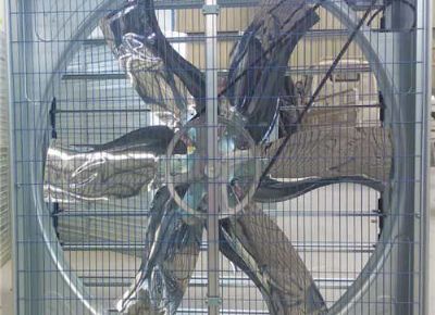 點擊查看詳細(xì)信息<br>標(biāo)題：Push Pull Negative Pressure Fan 閱讀次數(shù)：1458